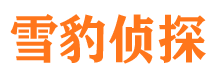 奉新市侦探公司